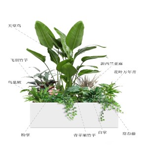 盆景组合
