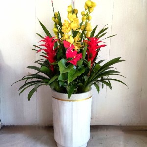 花开富贵 - N1款